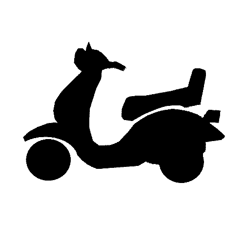 Scooter & moped Battery Charger